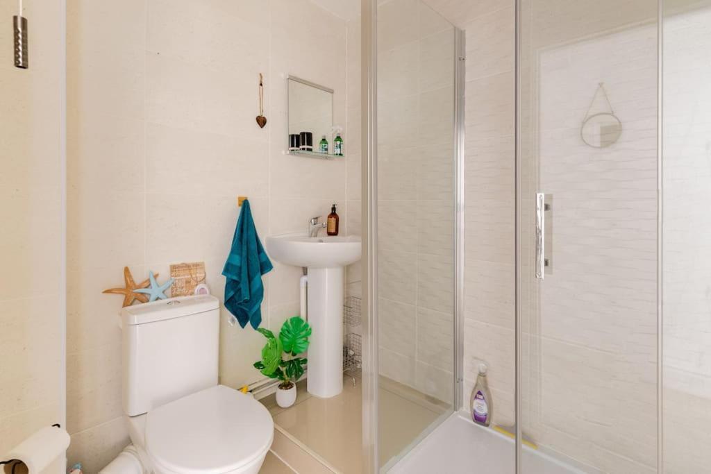 Modern Flat With Island Views In Heart Of Tenby Luaran gambar